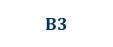 B3