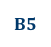 B5