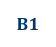B1